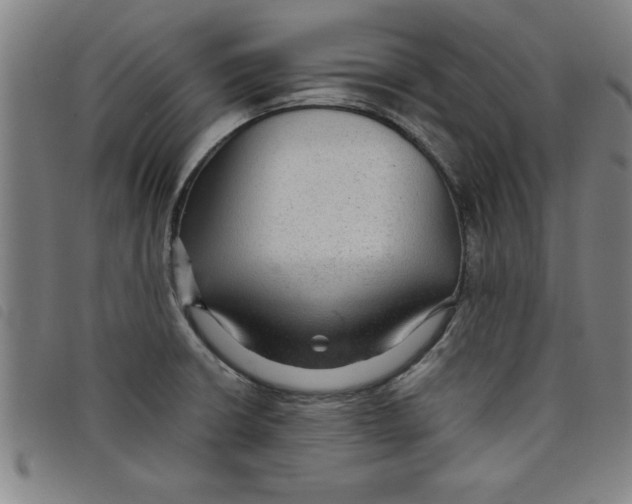 X0000097871426200804041541
