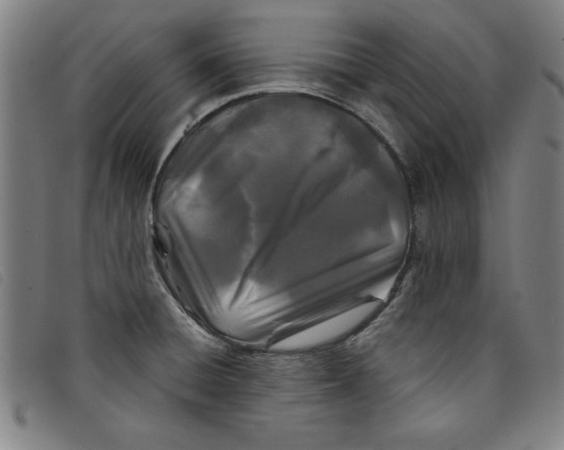 X0000097871428200804041541
