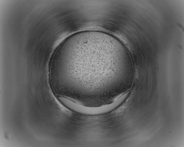 X0000097871430200804041541