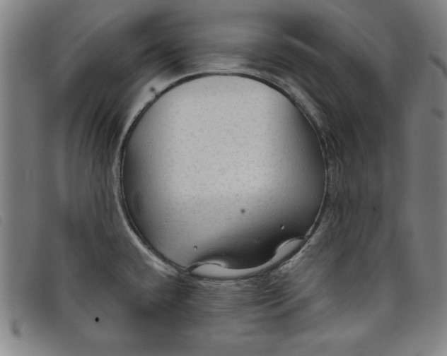 X0000097871432200804041541