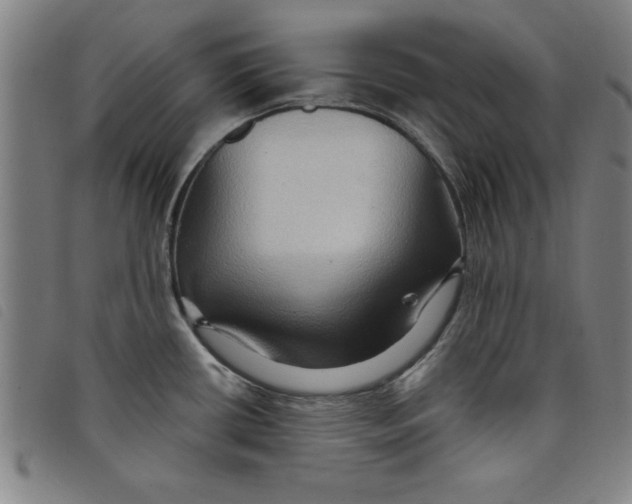 X0000097871434200804041541