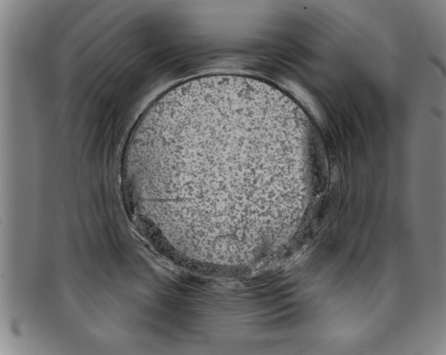 X0000097871435200804041541