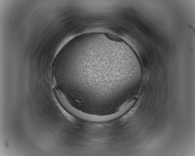 X0000097871438200804041541