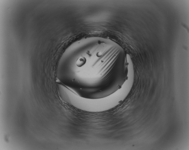 X0000097871441200804041540