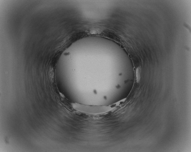 X0000097871443200804041540