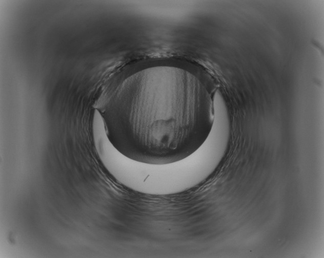 X0000097871444200804041540