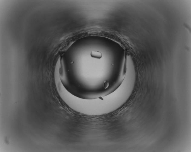 X0000097871445200804041540