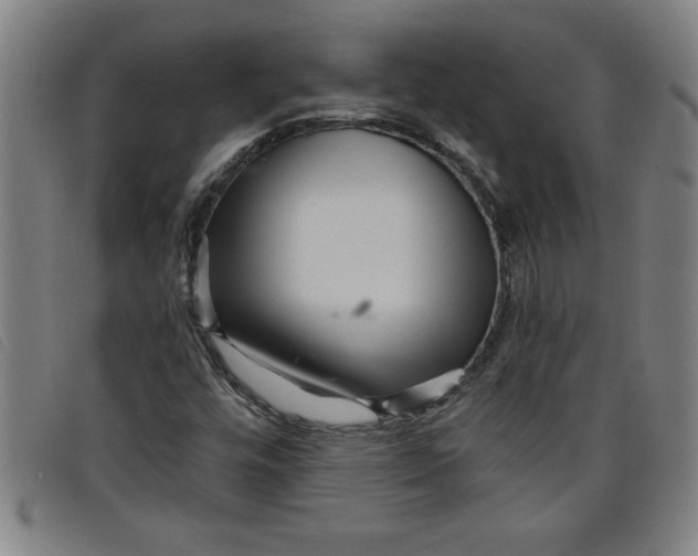 X0000097871448200804041540