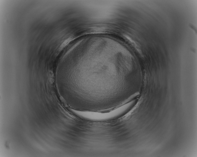 X0000097871449200804041540