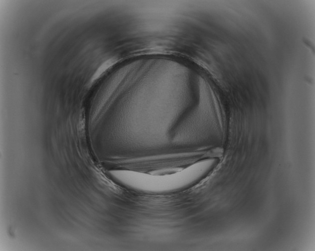 X0000097871450200804041540
