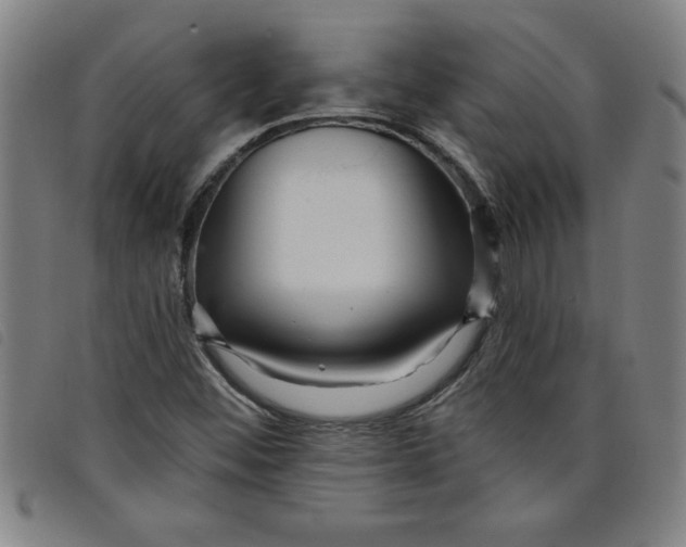 X0000097871452200804041540