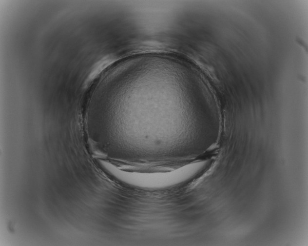 X0000097871453200804041540