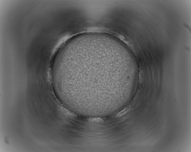 X0000097871454200804041540