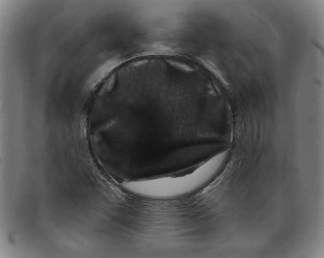 X0000097871455200804041540
