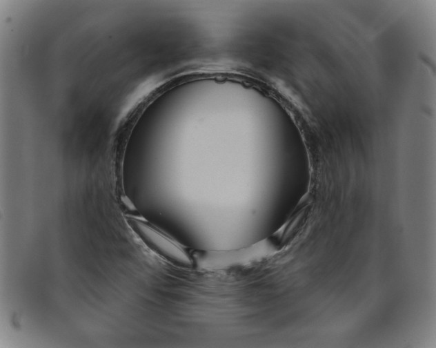 X0000097871456200804041540