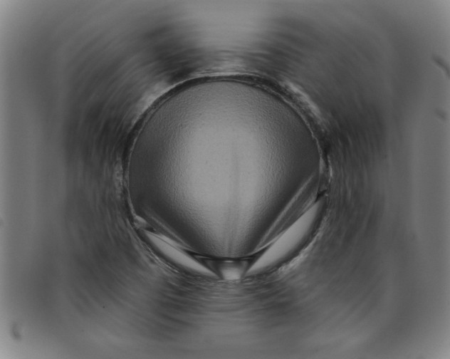 X0000097871457200804041540