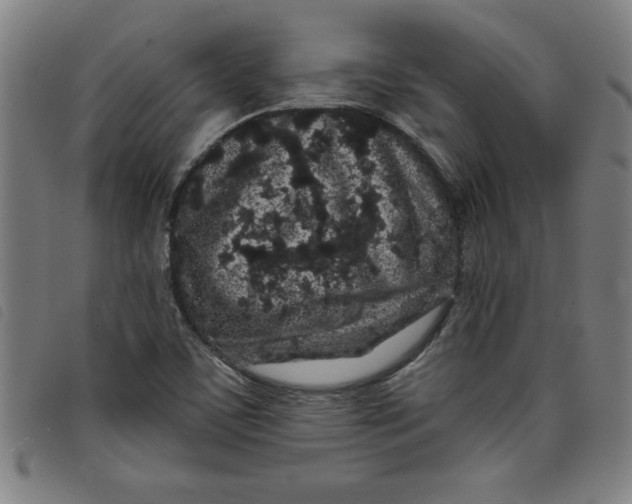 X0000097871459200804041540
