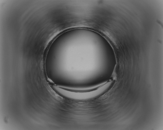 X0000097871460200804041540