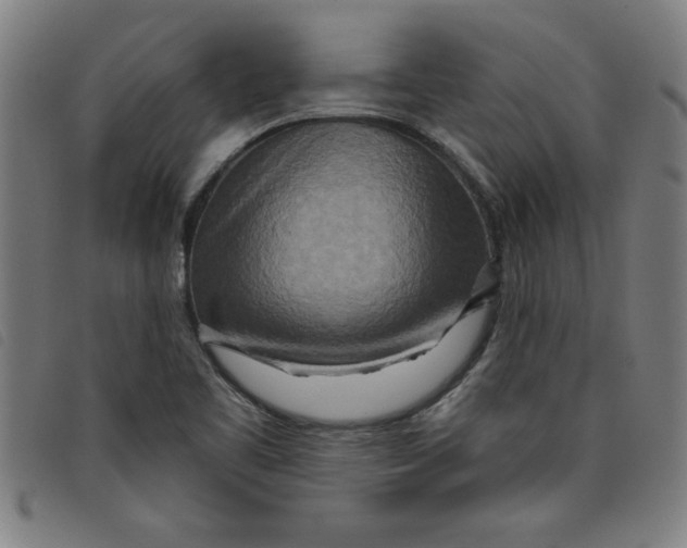X0000097871461200804041540
