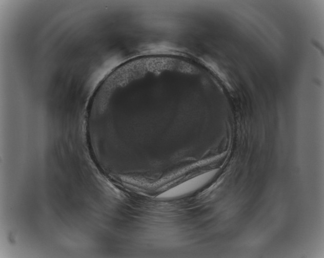 X0000097871463200804041540