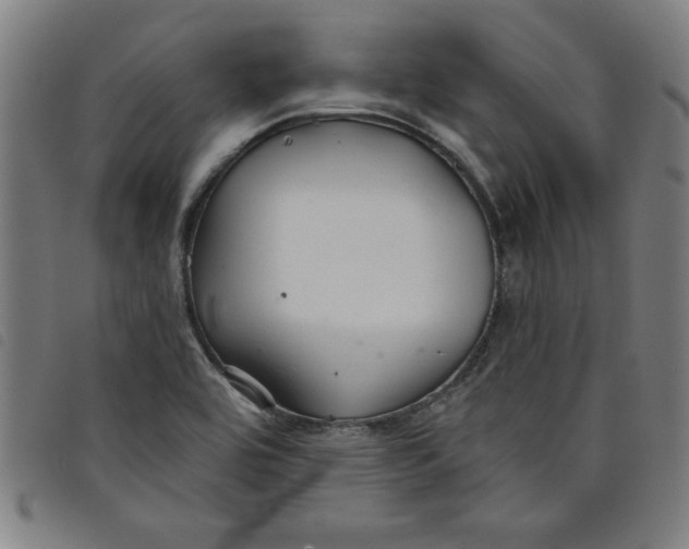 X0000097871464200804041540
