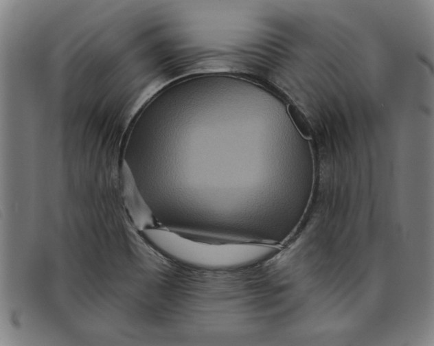 X0000097871465200804041540