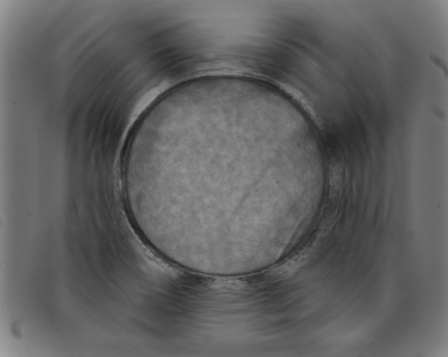 X0000097871466200804041540