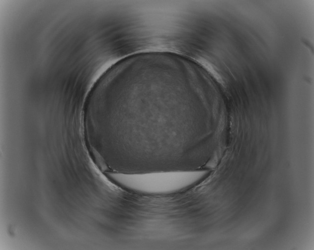 X0000097871468200804041540