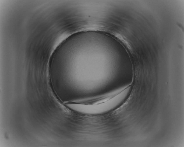 X0000097871469200804041540