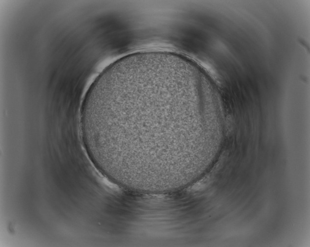 X0000097871470200804041540