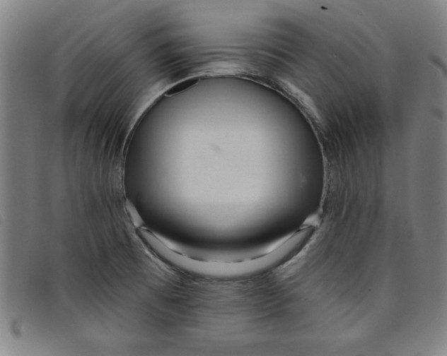 X0000097871473200804041540