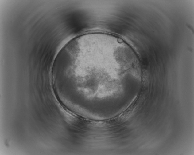 X0000097871474200804041540