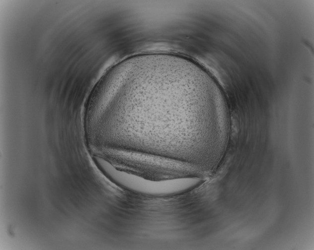 X0000097871475200804041540