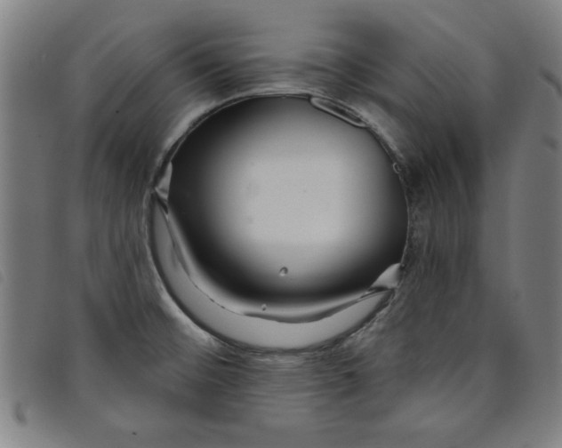 X0000097871476200804041540