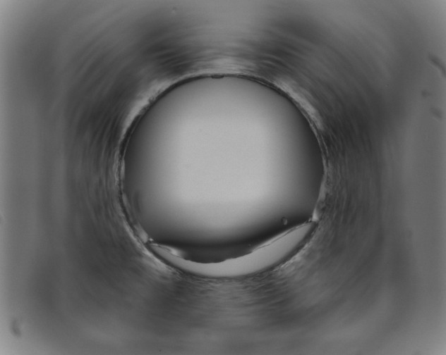 X0000097871477200804041540