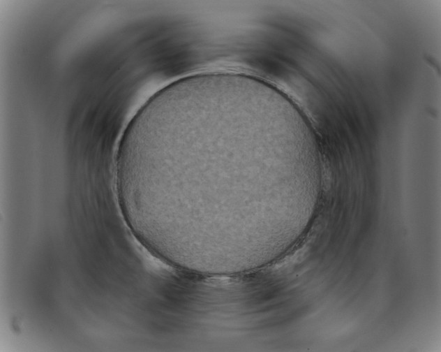 X0000097871478200804041540