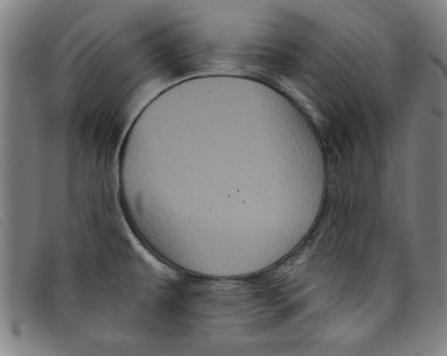 X0000097871479200804041540