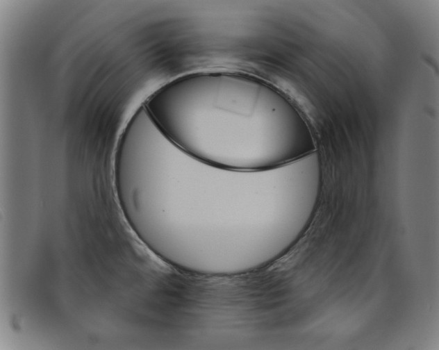 X0000097871480200804041540