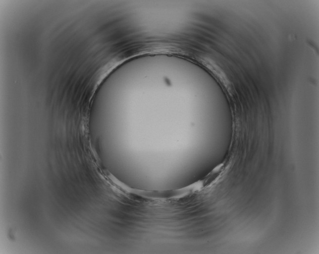 X0000097871481200804041540