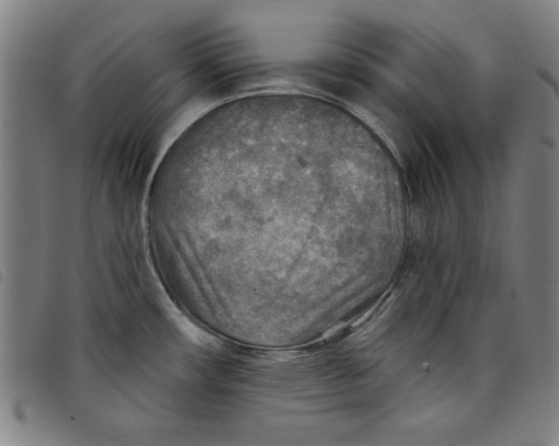 X0000097871482200804041540
