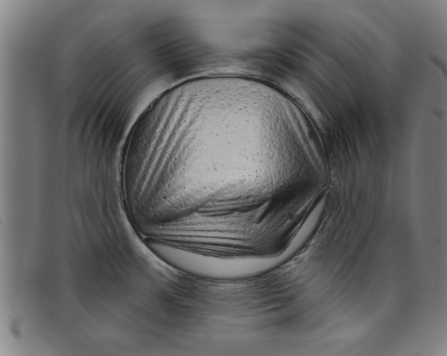 X0000097871483200804041540