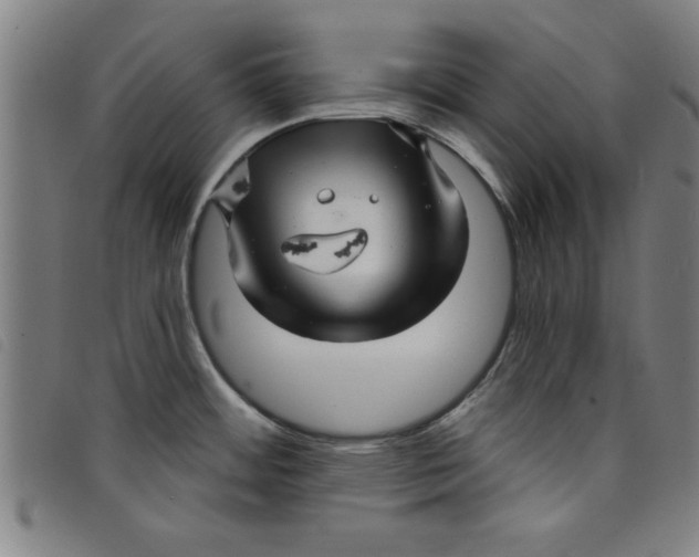 X0000097871484200804041540