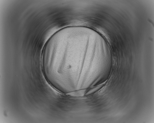 X0000097871487200804041540
