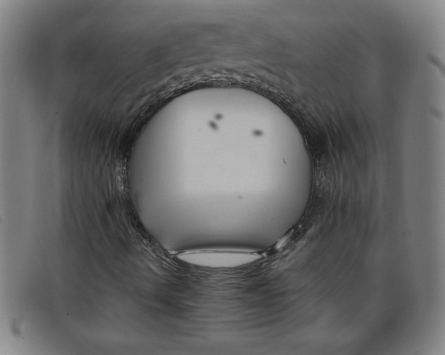 X0000097871490200804041539