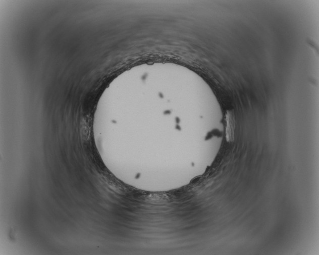 X0000097871491200804041539