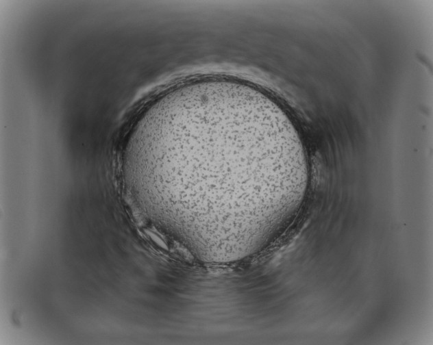 X0000097871494200804041539