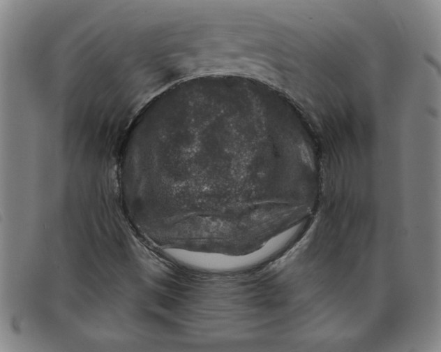 X0000097871497200804041539