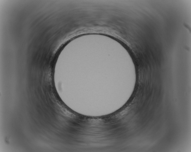 X0000097871498200804041539