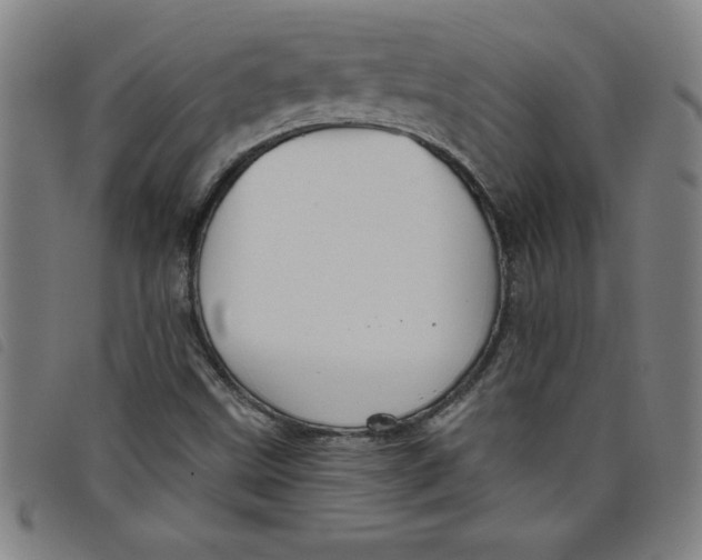 X0000097871499200804041539