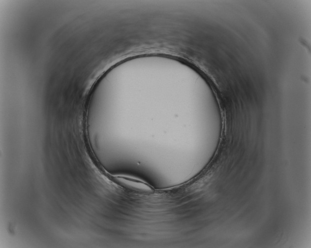 X0000097871500200804041539